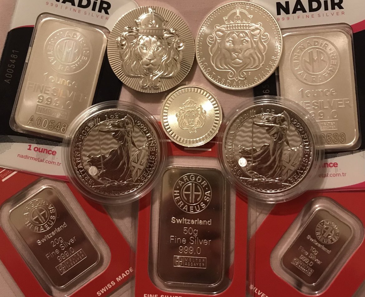 TheSilverLion 🇬🇧 tweet media