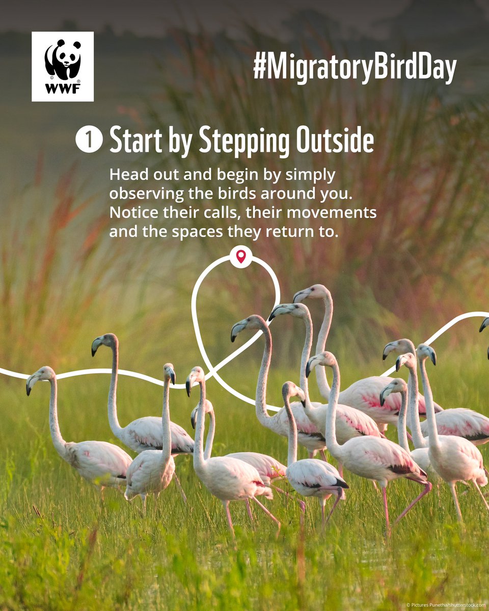 WWF-India tweet media