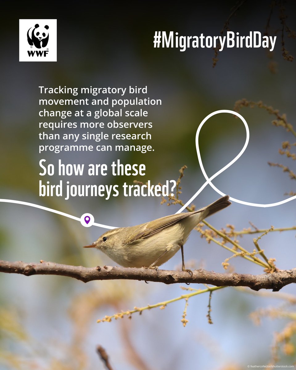 WWF-India tweet media