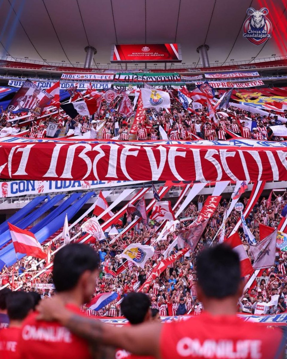 PARA EL RECIBIMIENTO DE HOY:

En toda la parte baja del estadio podrán encontrar banderines rojos y blancos en cada uno de sus lugares, no hay que ondearlos hasta que el equipo salte al campo.

Toda la cabecera sur ya sabe qué hacer, DALE QUE LO GANAMOS!