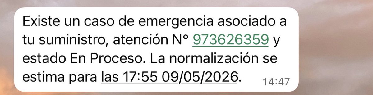 Pancho tweet media