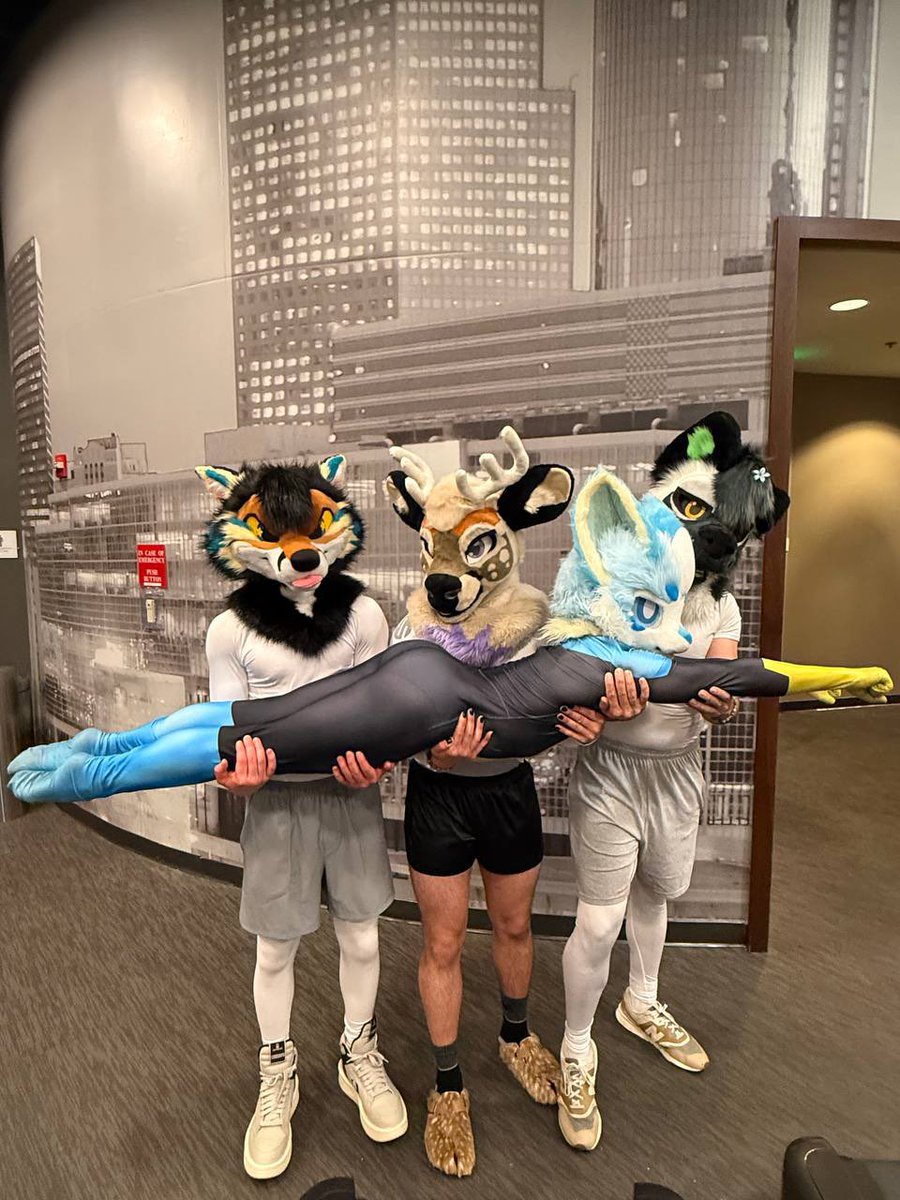 MarkyTheGayBoy 🔜 FWA, MP tweet media