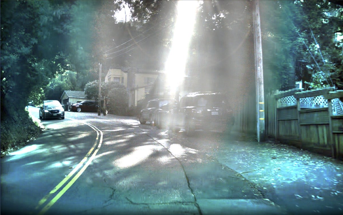Elon Musk just shared a comparison between a human-perceived RGB image and Tesla AI’s photon-count reconstruction.

Tesla is feeding raw, unprocessed sensor data, essentially direct photon counts from the vehicle’s cameras, straight into its neural networks for FSD, bypassing