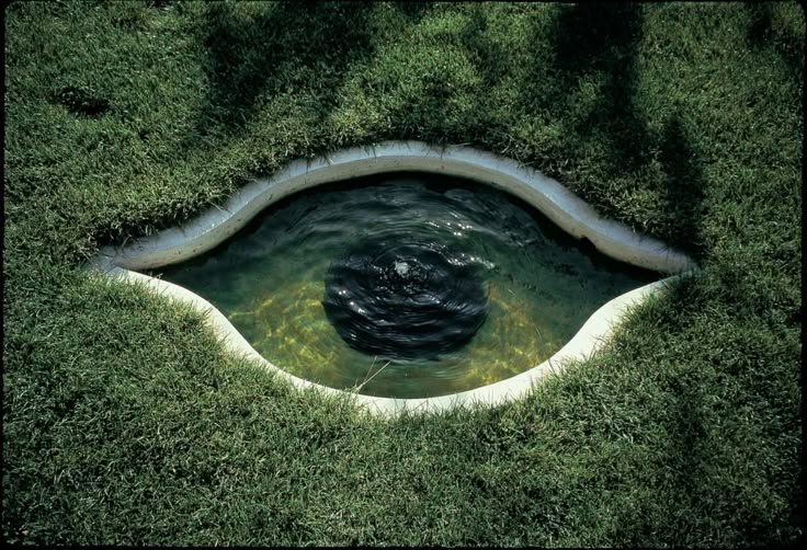naturaholic's tweet photo. the eyes of nature https://t.co/jpB1T00doX