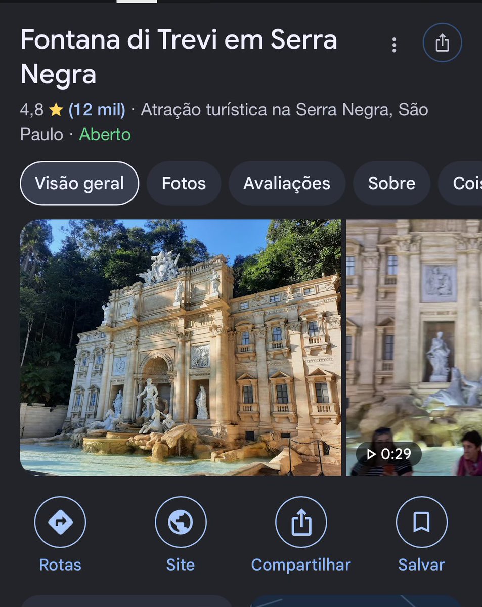 carolzinha dark punch tweet media