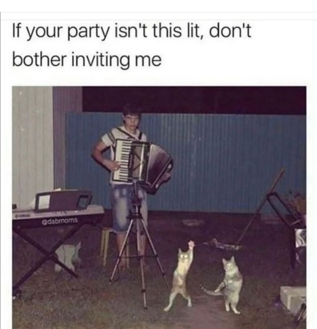 Suz tweet media