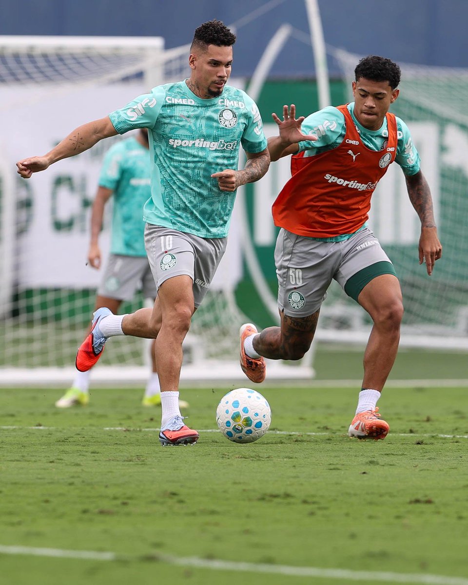 Diego Firmino - Canal P de Porco tweet media