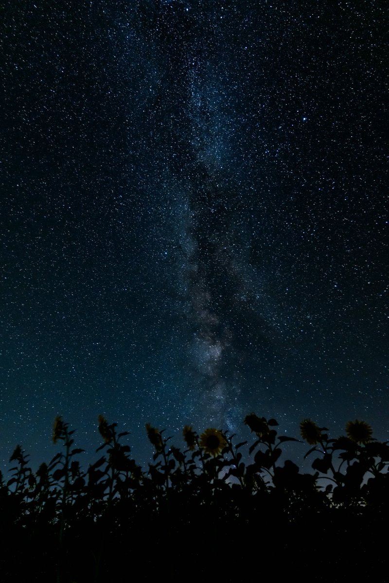 Space 8K tweet media
