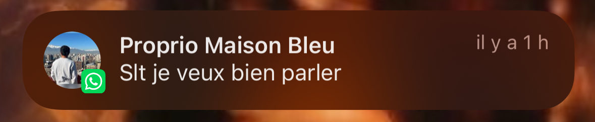 lolilol tweet media