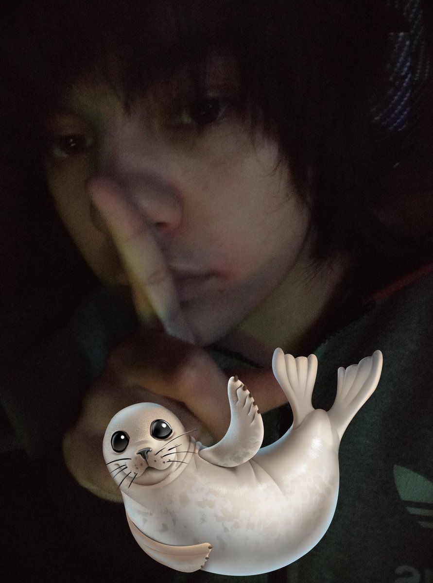 ⚣ MAXIO | SH+ED 🦭💤 tweet media