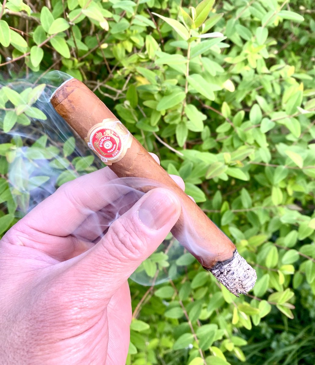 giochan4's tweet photo. Punch  Punch, Feb20

#cubancigar #cubancigars #cuban #habanos  
#cigar #cigars #punch https://t.co/HYOp1jrMJI