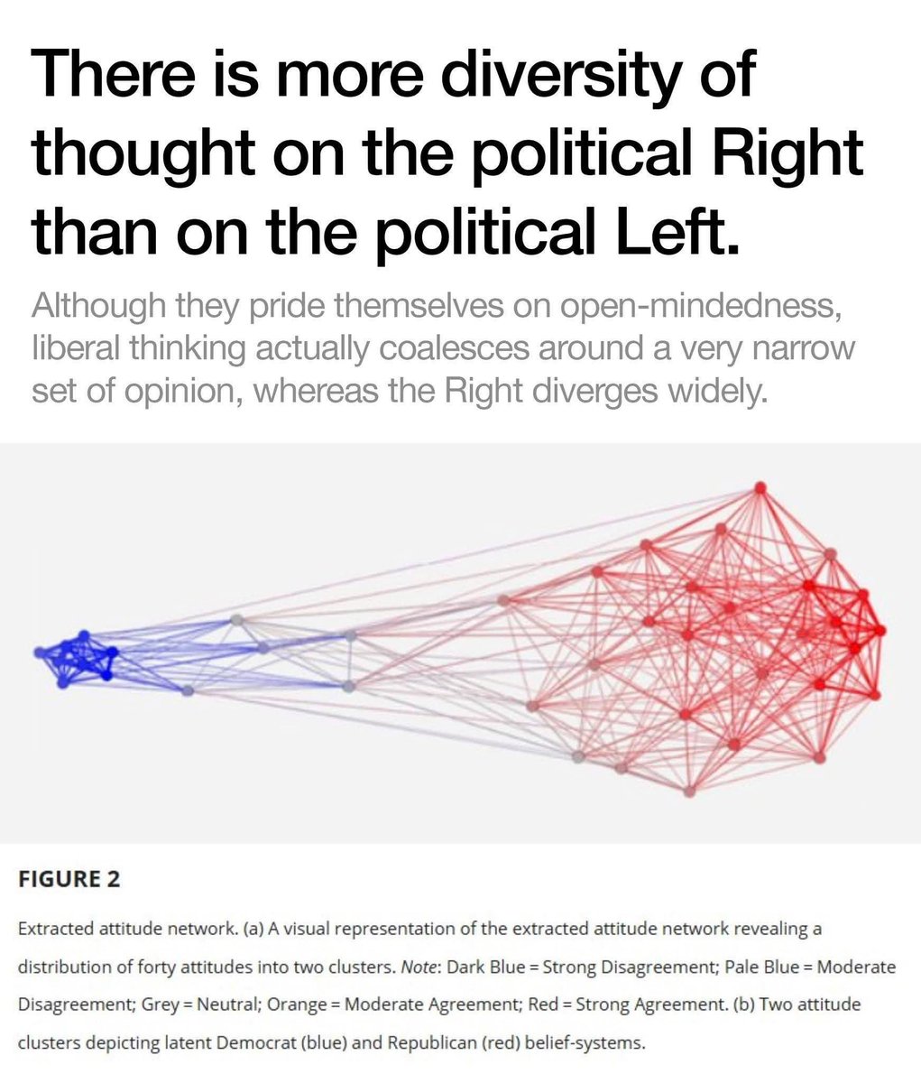 White Ringer tweet media