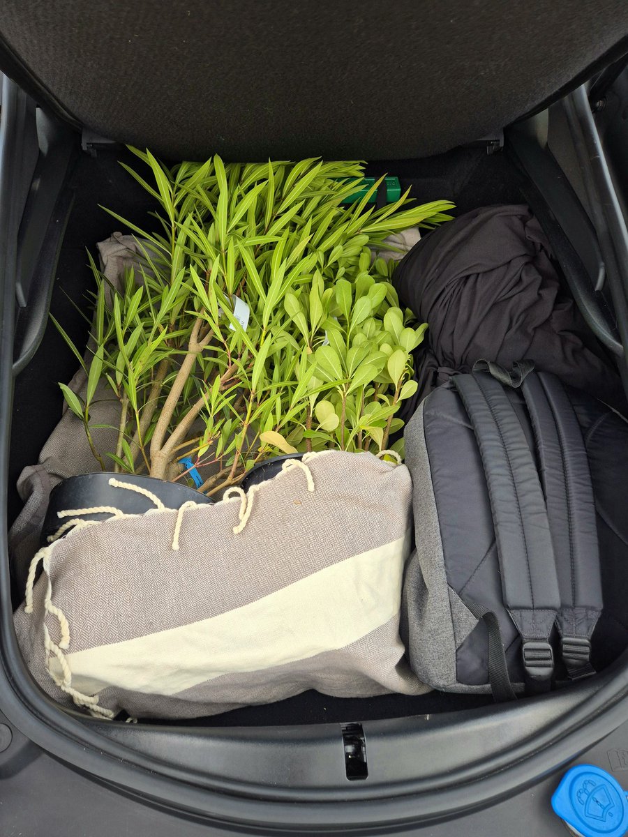 29Gambrinus's tweet photo. En allant chercher des plantes...
#jaguar #ftype #v6s https://t.co/WwsmxARpRe