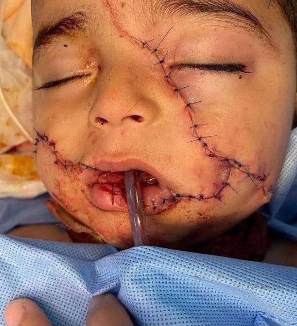 Eyes Of Gaza tweet media