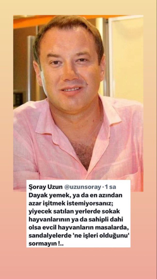 Ebru Erdini tweet media