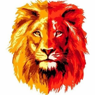 HiLaL Türk 🇹🇷 tweet media