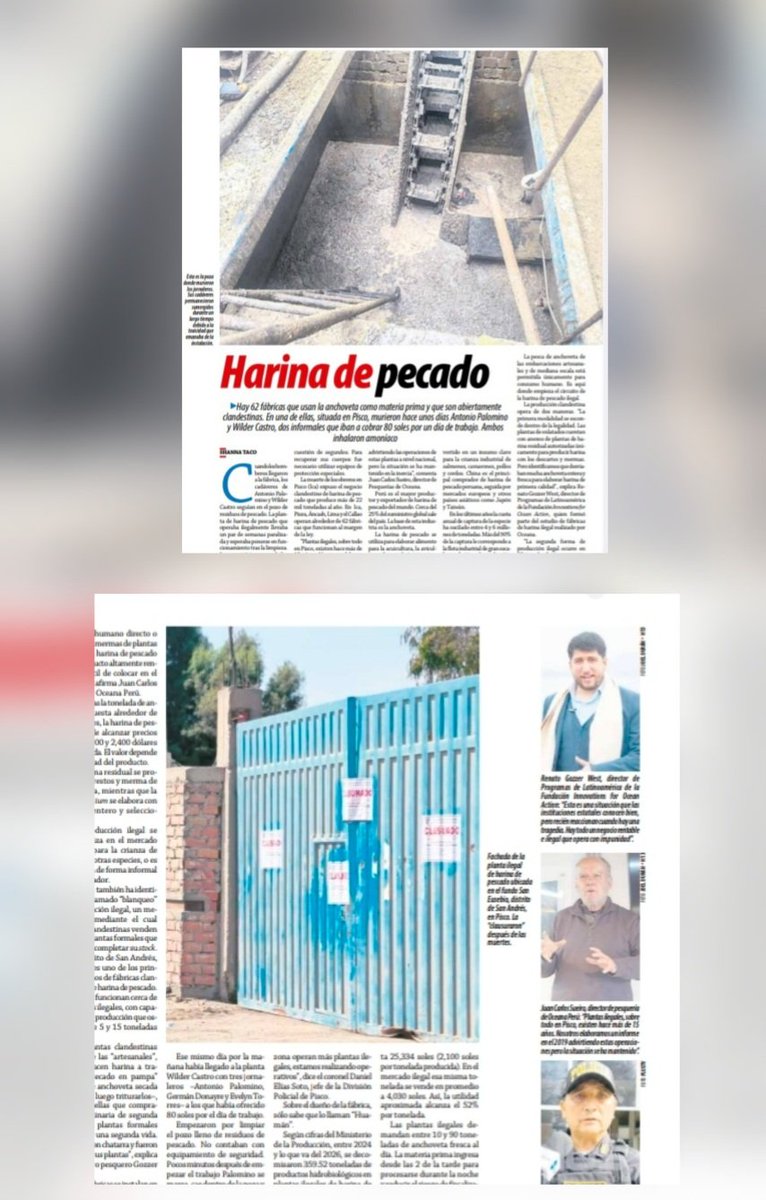 Semanario Hildebrandt en sus trece tweet media