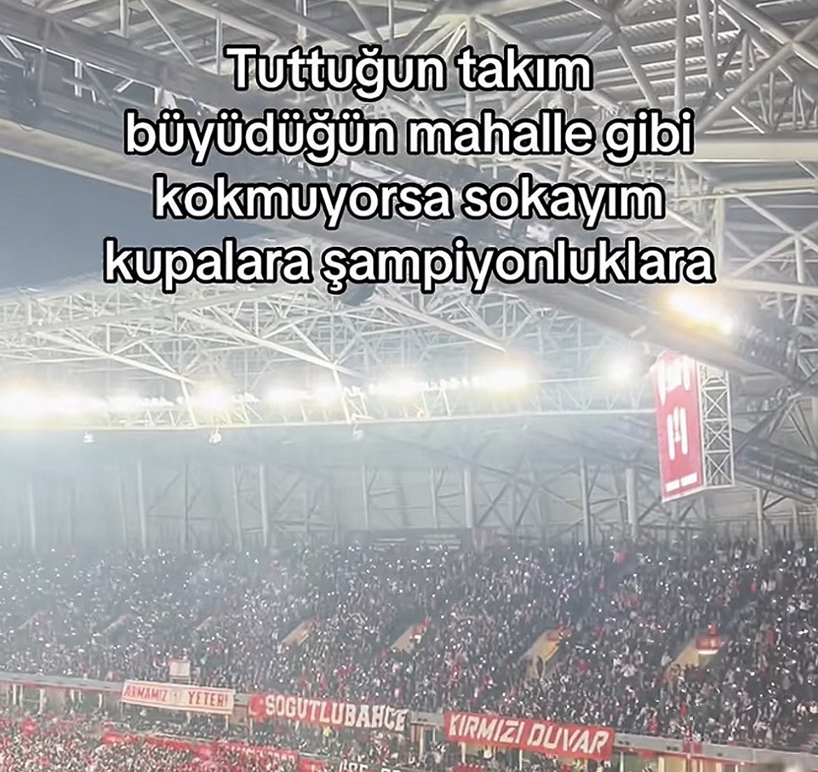Fofi tweet media