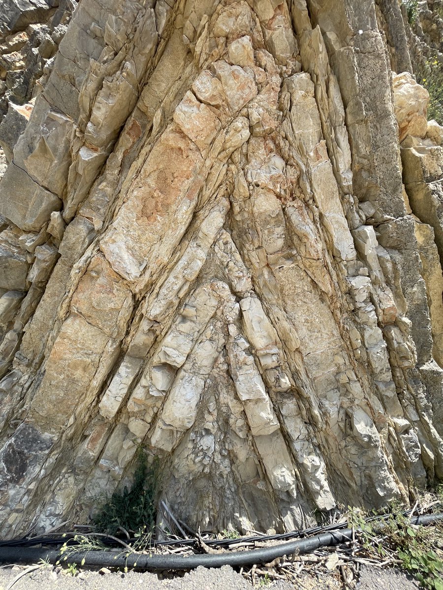 tavernierSVT's tweet photo. Balade géologique virtuelle, sur un jolie affleurement calcaire. Avec l’échantillon qui va avec, pour la datation, Ammonites et rostre de Belemnite. Dommage de ne pouvoir y emmener les élèves. Parce que la géologie c’est la vie. Disponible sur skechfab : https://t.co/75XBjtk1UK https://t.co/x2wKzepEqN
