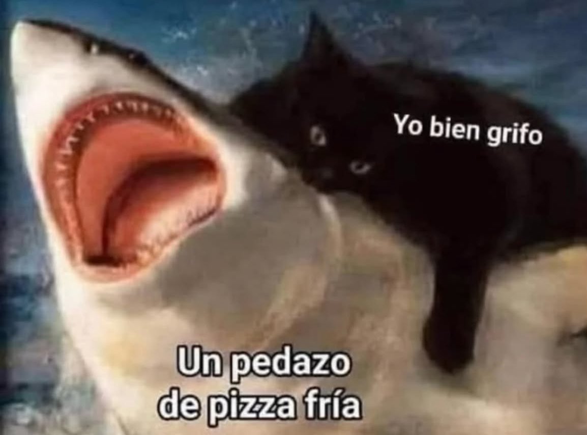 SrWeedSmoker's tweet photo. Yo a las 3am: https://t.co/57t2sShhoy