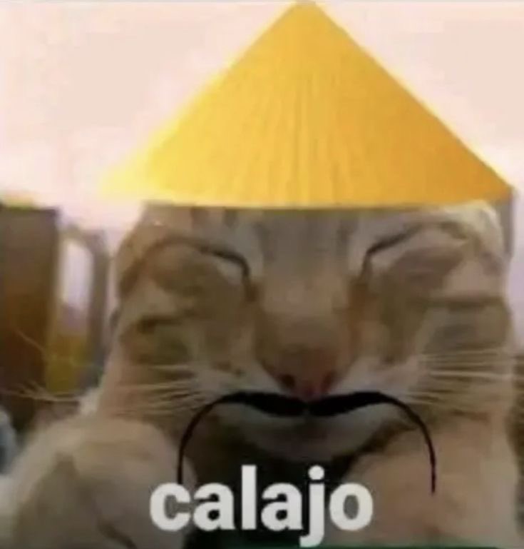 gigi ⭑ tweet media
