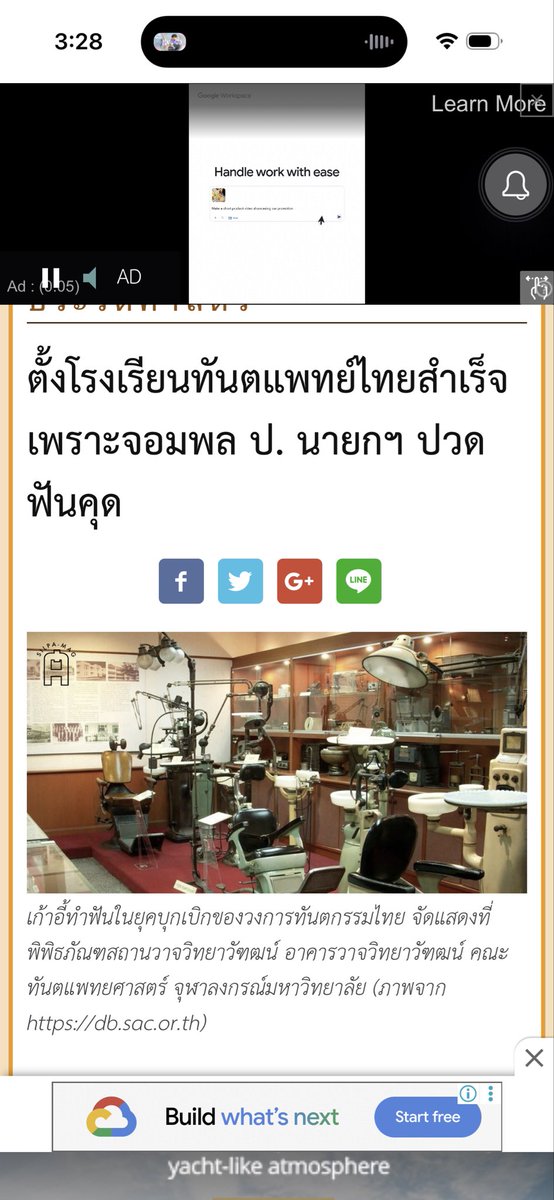 Tu Flannery tweet media