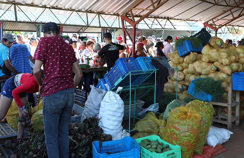 Angel98845187's tweet photo. El parque 26 de Julio en #LasTunas acogió este sábado la feria agrocomercial, para festejar el Día de las Madres. Diversas unidades productivas de la provincia, se unieron para ofertar, en medio de las limitaciones que afrontamos, diversos renglones a la familia tunera. https://t.co/RbwBl7htlP