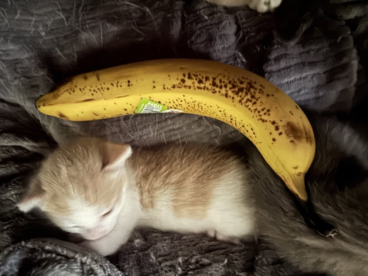 1 banana size