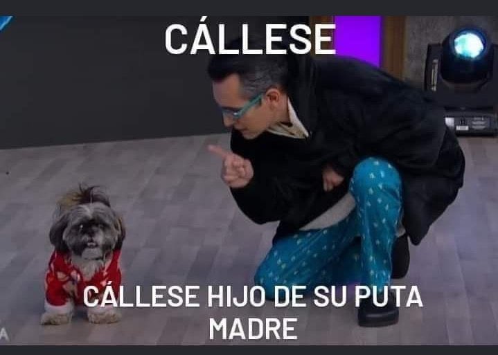 ElLicCarlos's tweet photo. @OOCprogresismo2 Faltaron hombres de verdad, para meterle un buen cachetazo y decirle así... https://t.co/jier86m2NC