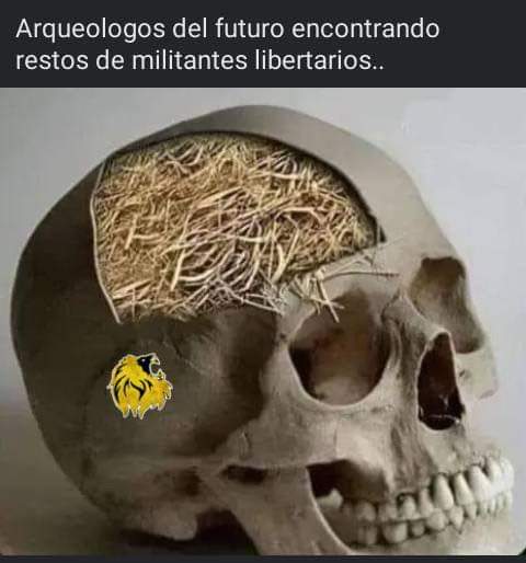 El Blog Del Hincha de Boca Jrs. tweet media