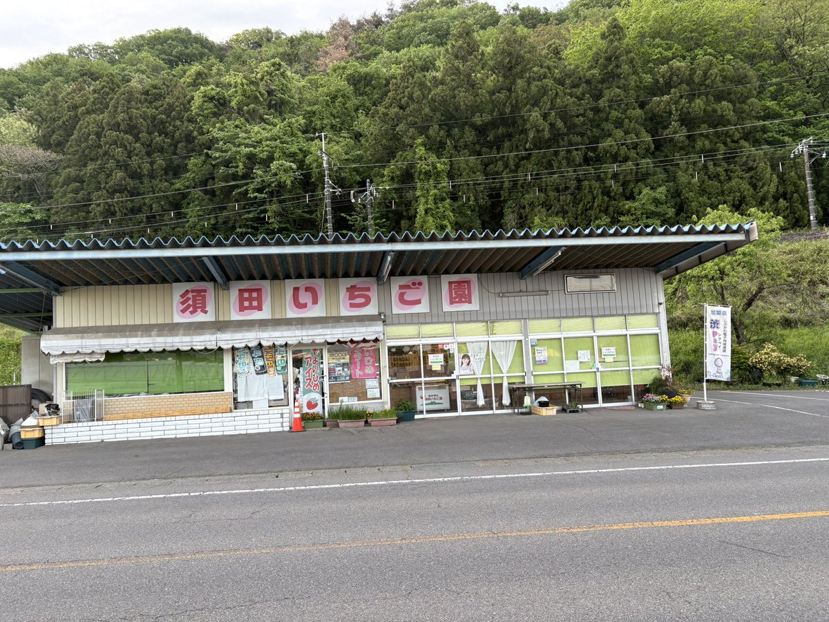 いちご様　確認用　5点 失敗しない！おいしいいちごを見抜くポイント5選〜プロ直伝の裏ワザ