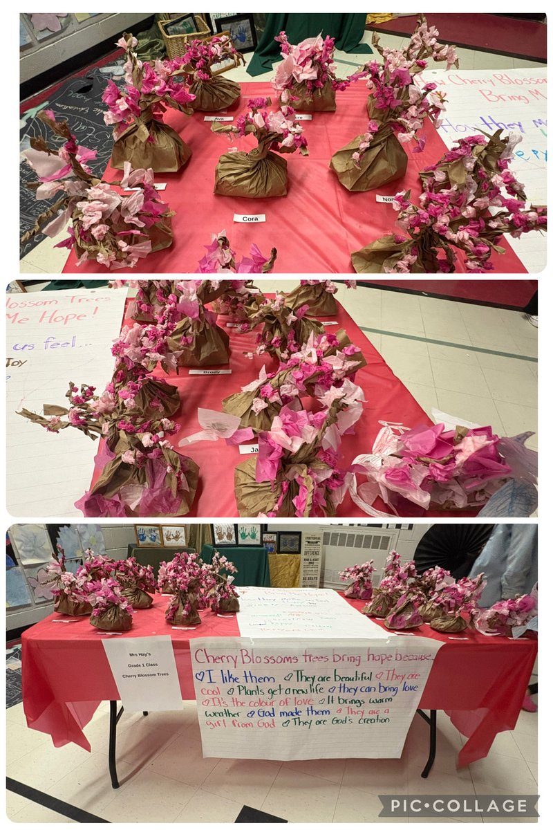 StPeterDPCDSB's tweet photo. #CatholicEdWeek lived through God’s creation. Reflecting on lives of saints students explored peace,God’s love, salvation, the Spirit within, &amp; being together on the journey—through cherry blossom art &amp; nature photography around us🌸📸✝️

#PilgrimsOfHope #DPCDSB_CEW @CatholicEdu https://t.co/cEQ55BoVN0