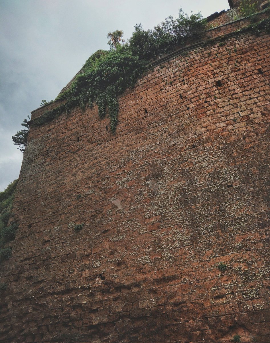 A_Sapphireh's tweet photo. #wildgreen #architecture #wall
📸Aura S. https://t.co/0DgXxtLYkv