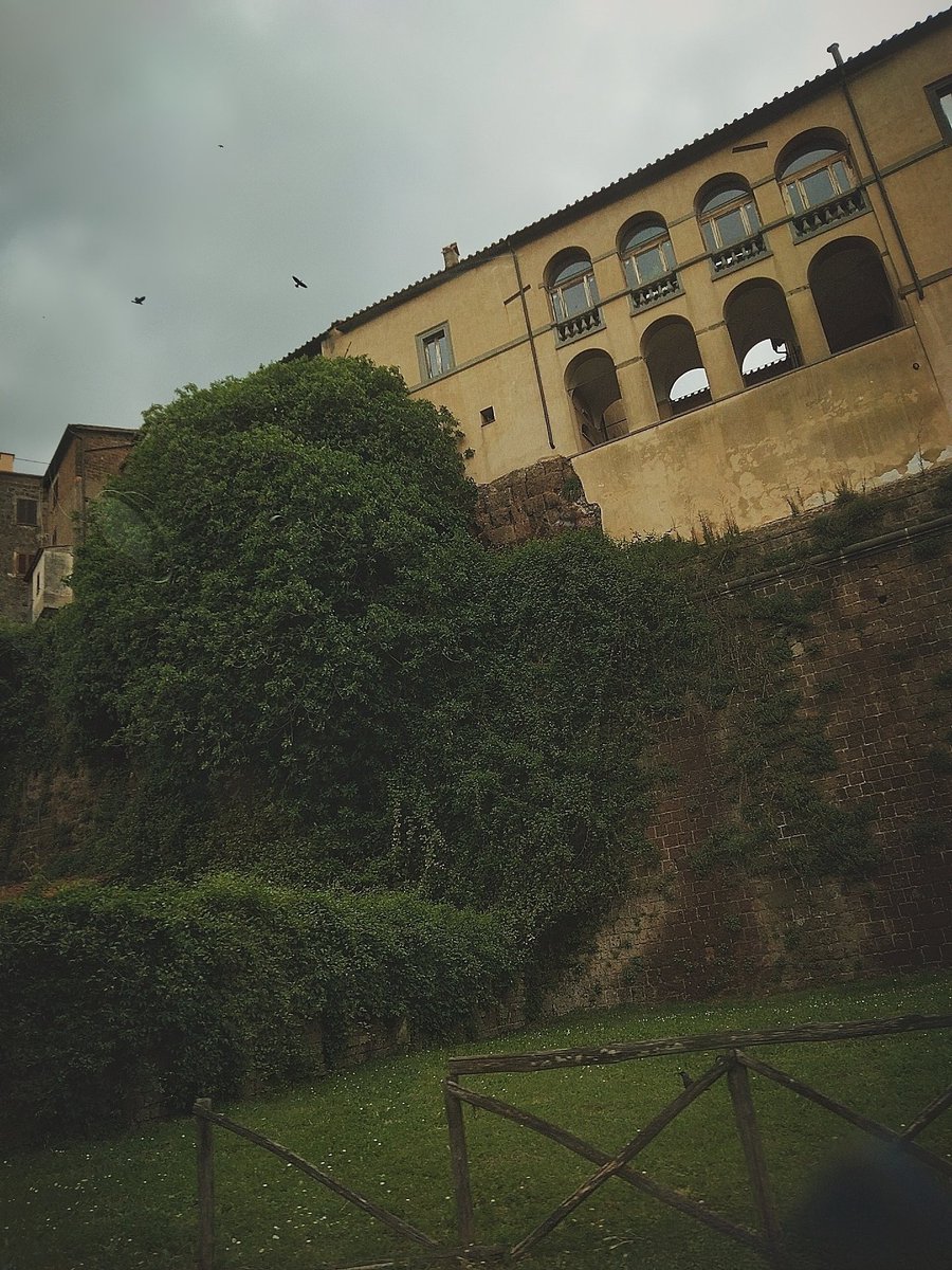 A_Sapphireh's tweet photo. #wildgreen #architecture #wall
📸Aura S. https://t.co/0DgXxtLYkv