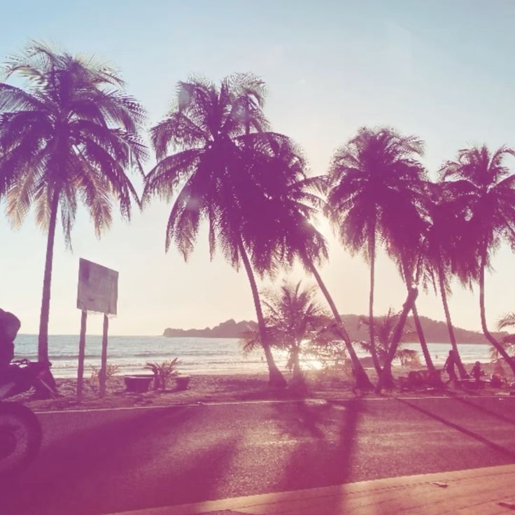 Delblox's tweet photo. Summer 2026 is already close. Am I the only one who feels like this reminds me of the atmosphere of summer 2016? #nostalgia #roblox https://t.co/4Eu8nASVXr