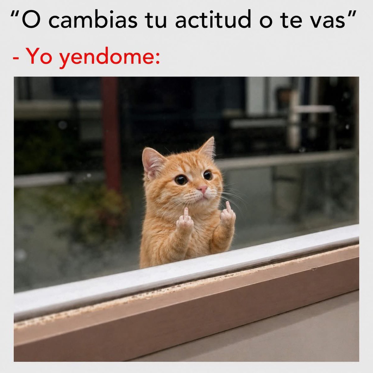 El Meme tweet media