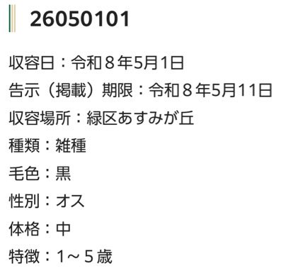 🆘緊急🆘#収容猫
🆘告示期限5/11(月)
5/1(金)千葉県千葉市緑区あすみが丘
推定1~5歳♂黒猫
📲千葉市動物保護指導センター🙇🏻‍♂️
迷い/迷子/保護/ネコ/クロ/白/シロ/市原/茂原/大網白里/東金/八街/若葉/永田/土気/昭和の森/ホキ/加恋ちゃん家/ブランニューモール/バーズモール/食堂/焼肉/ラーメン/神社/公園