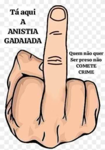 Newton carlos tweet media