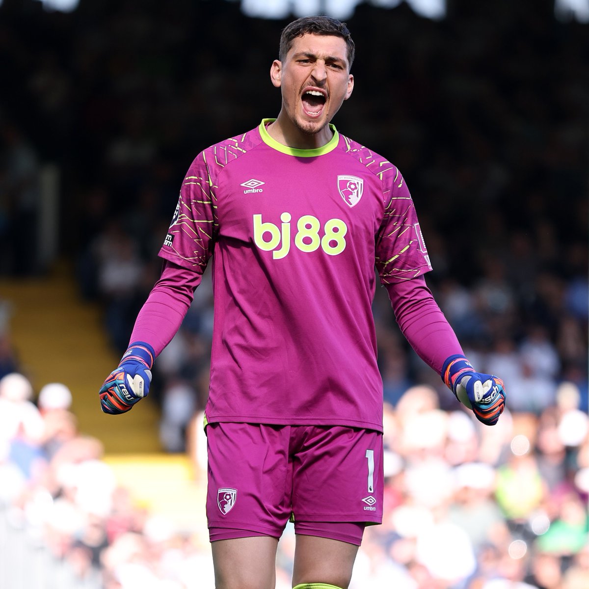 11th clean sheet of the season ✅