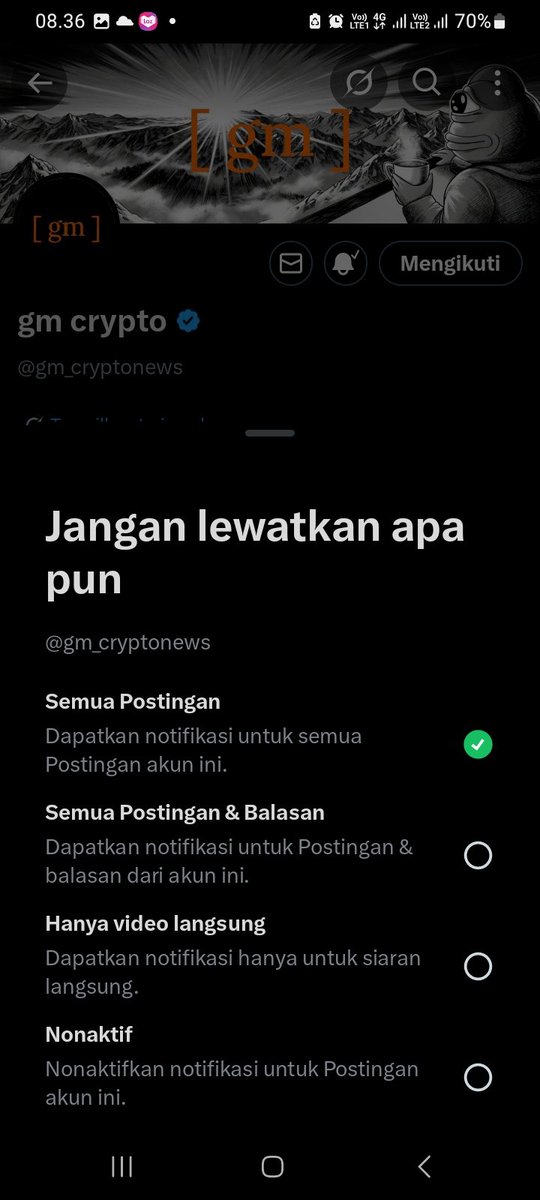 Vitajelly ⚡ tweet media