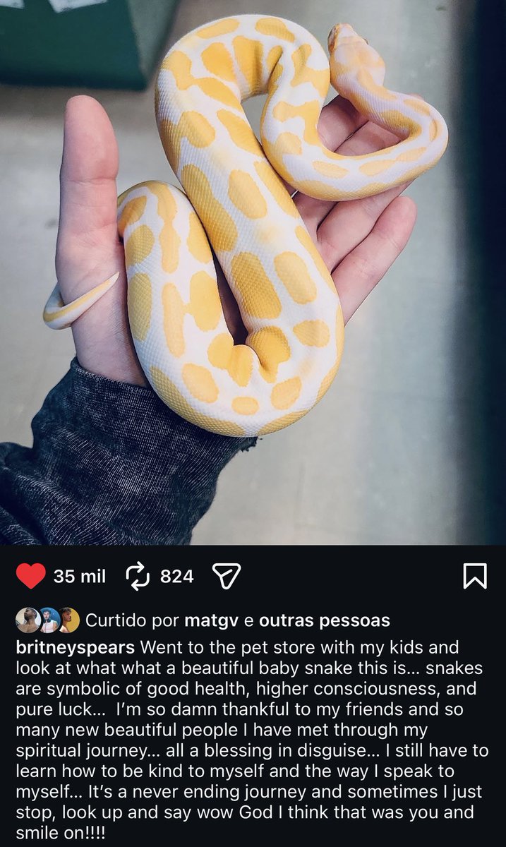 xilo mencarelli 🥀 tweet media
