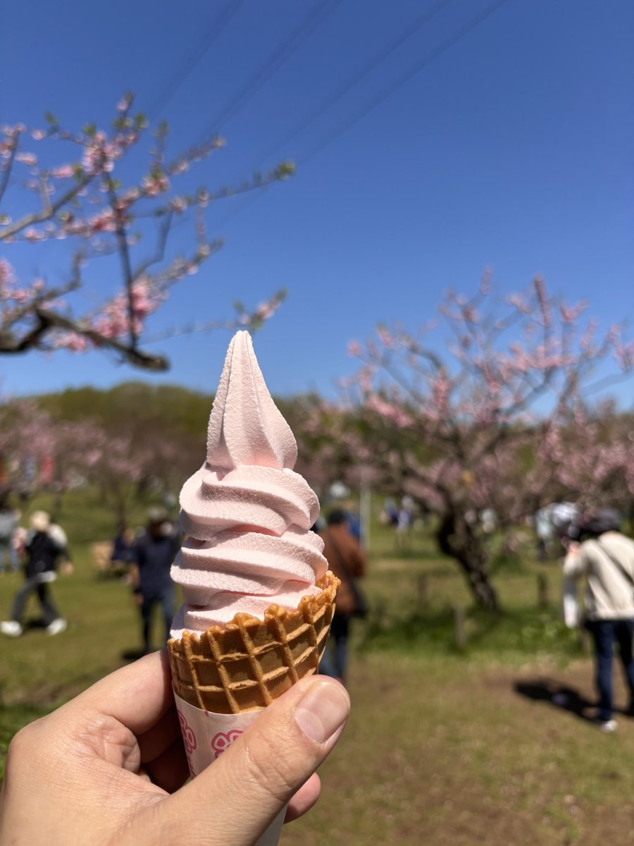dosanco_boy's tweet photo. 平岡公園梅祭り最終日、梅ソフト激混み https://t.co/i61KVcfcUK