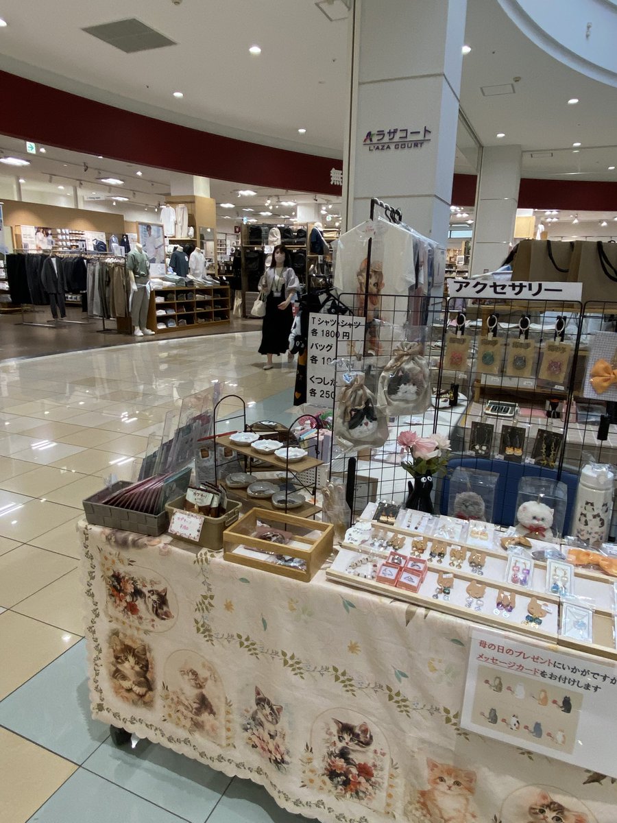 猫のスヴニール tweet media