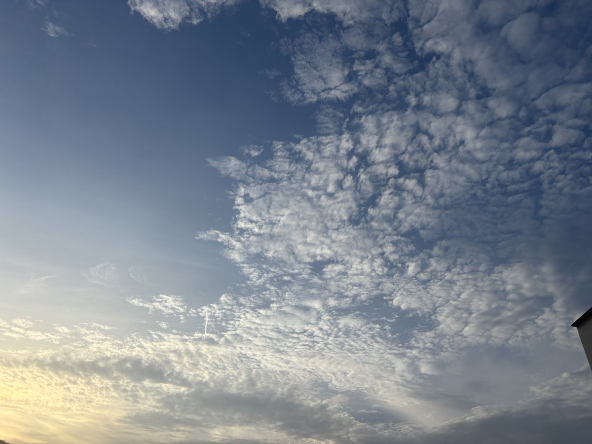 Chennai Weather-Raja tweet media