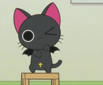 necroina's tweet photo. WHICH CAT WOULD U CHOOSE https://t.co/HMmo5YvMLk