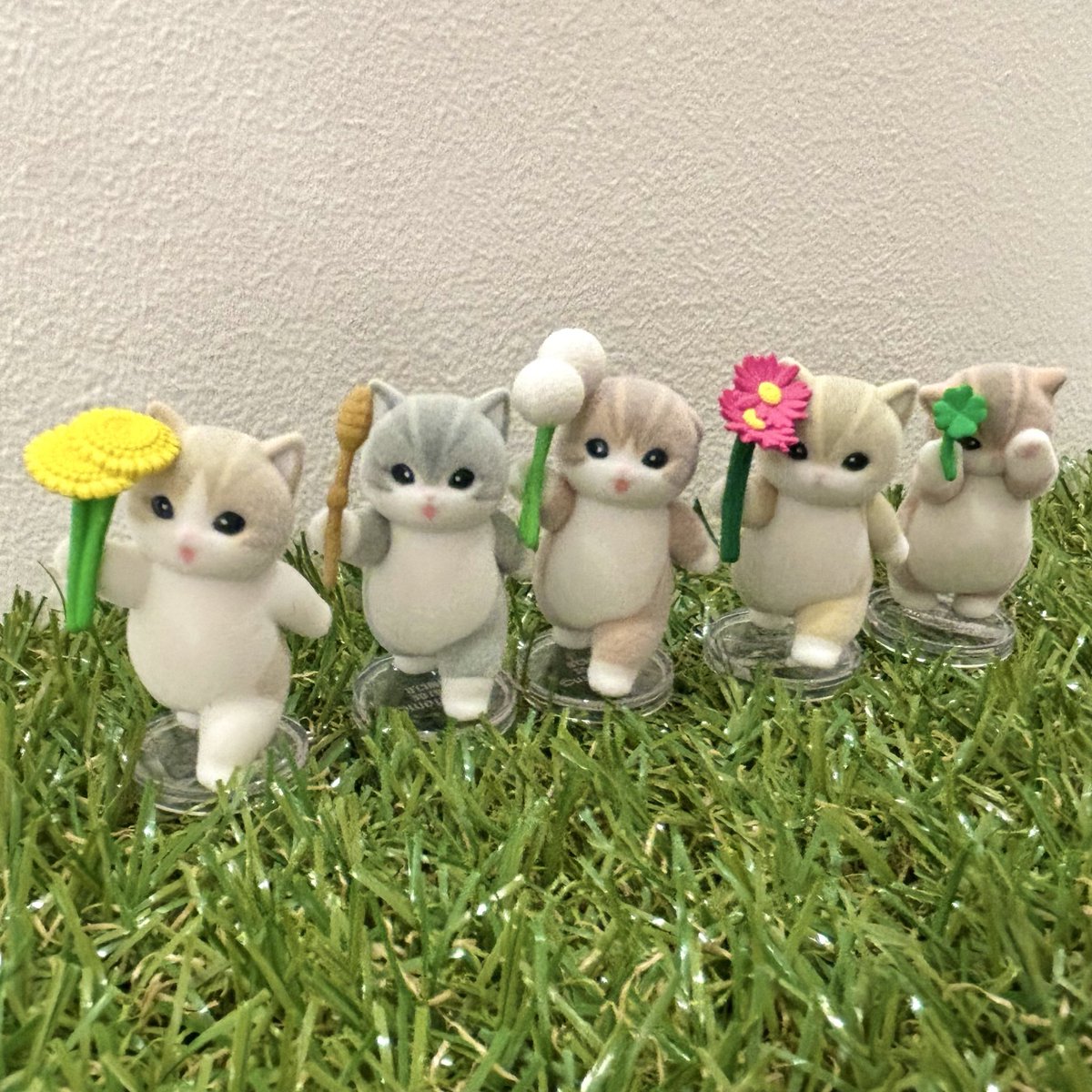 mofusandもふもふストア福岡PARCO ⭐️新商品のご紹介⭐️ ⚫︎なら