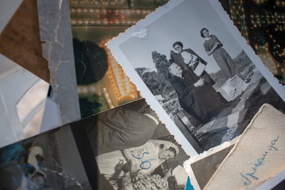 Janet Bonilla tweet media
