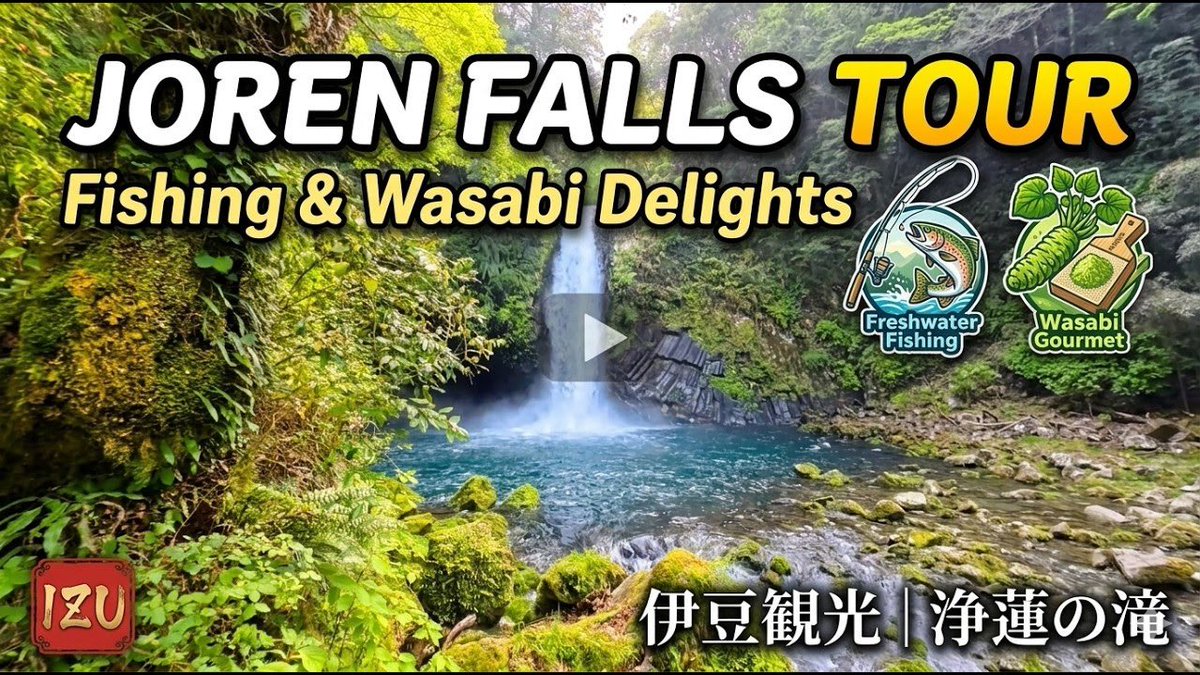 matsurikavilla's tweet photo. 🌺 Off the Beaten Path in Japan 🌺
Joren Falls: One of Japan’s Top 100 Waterfalls | Fishing & Wasabi Paradise in Izu Shizuoka
【浄蓮の滝 伊豆観光】
Check it out here ↓
https://t.co/94UlZcdDI0
#japantrip #FALL #shizuoka #joren
#IZU https://t.co/MGTRFxTW9O