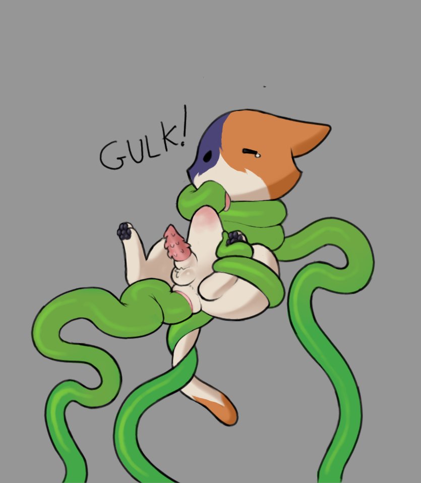Mr.MysteryGuy🔞 tweet media