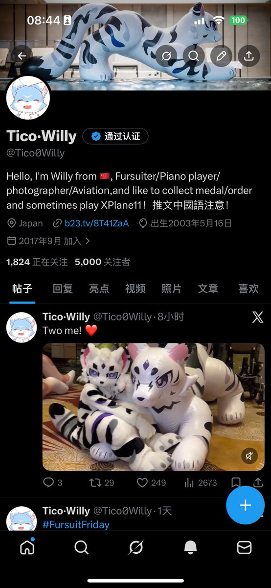 Tico·Willy tweet media